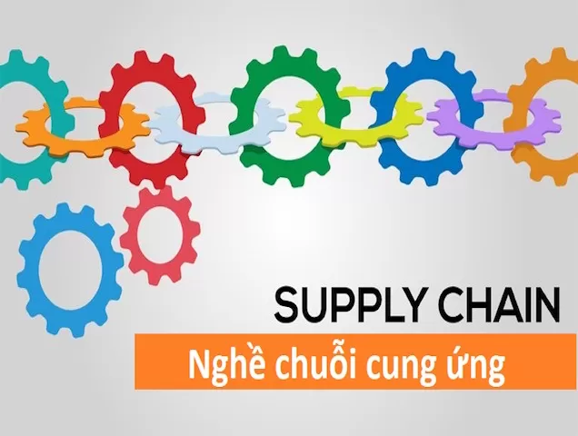 Nghề Supply Chain – Lương Bổng Và Con Đường Như Thế Nào?